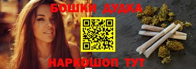 сатива Новозыбков