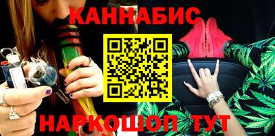 сатива Новозыбков