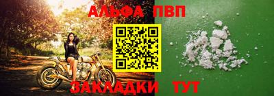 сатива Новозыбков