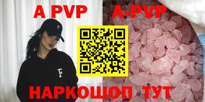 сатива Новозыбков