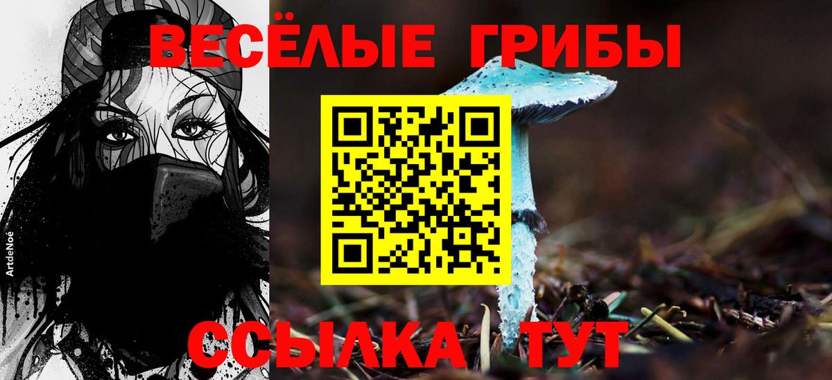 Псилоцибиновые грибы MAGIC MUSHROOMS Фурманов