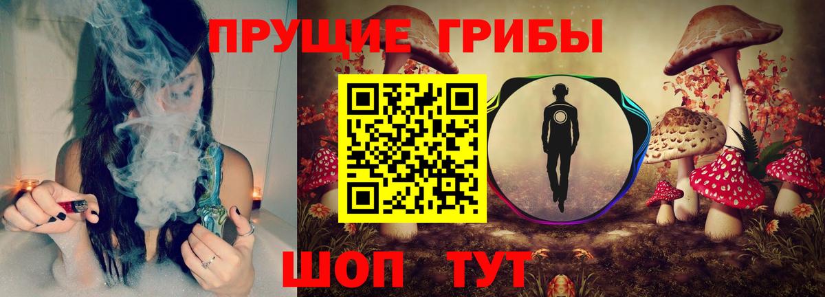 Псилоцибиновые грибы Psilocybe  Вход с VPN  Фурманов 