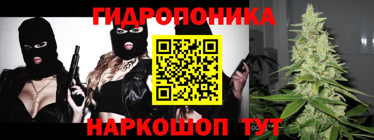 Конопля гибрид  Бошки Шишки VHQ  Марихуана сатива  Фурманов  Вход с VPN  Каннабис AK-47 
